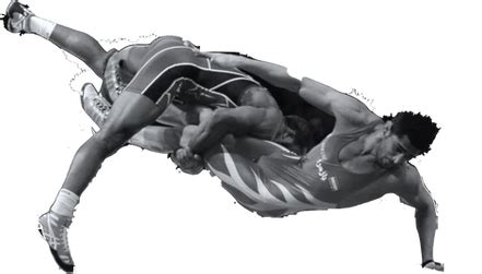 my vr okada|Neuroscience .